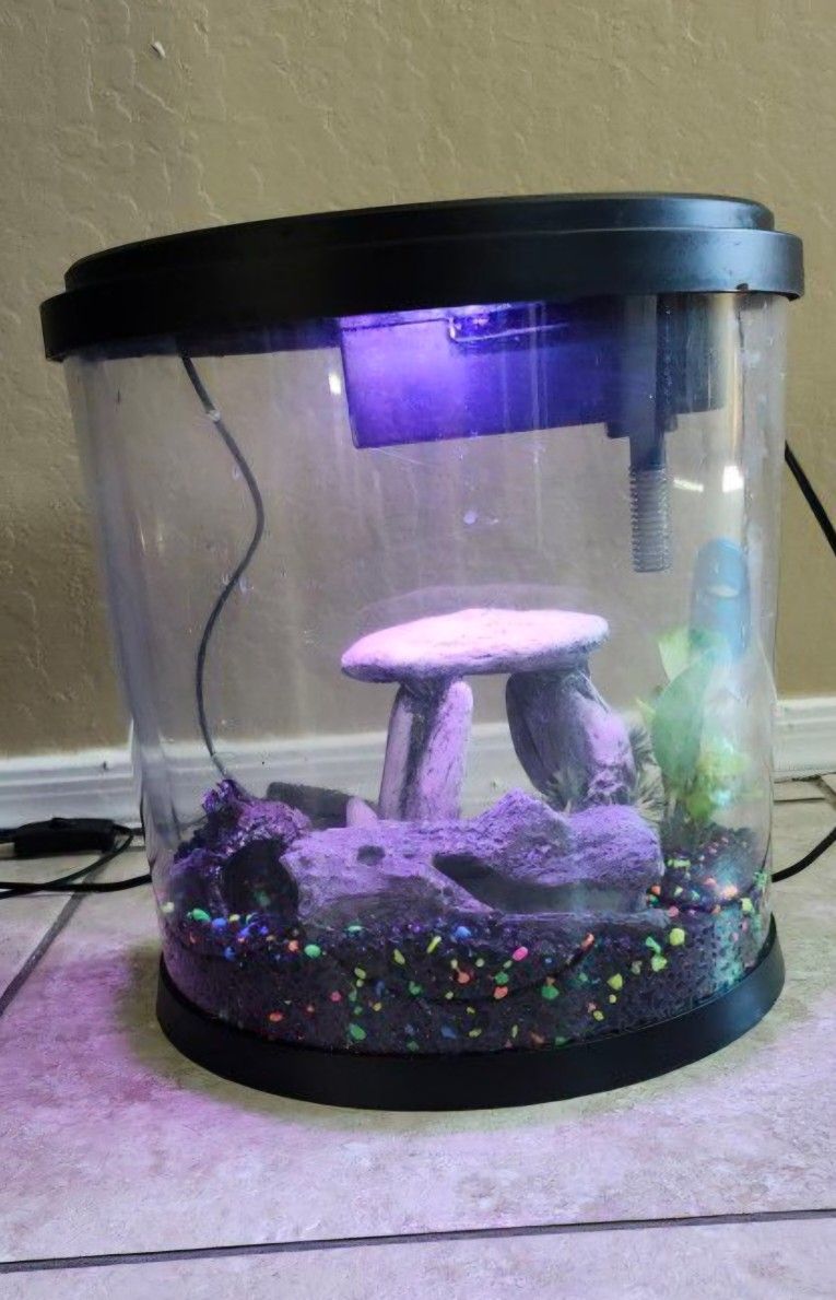 Top Fin Fish Tank 3.5 Gallons