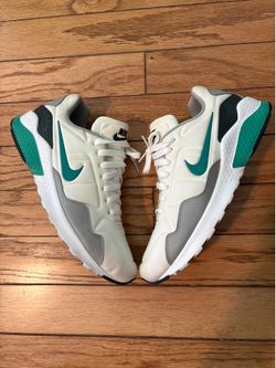 Air Max Pegasus Size 10.5