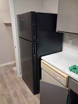 Appliance  Les Than A Year Old 250$ A Peace Either Fridge Or Stove 