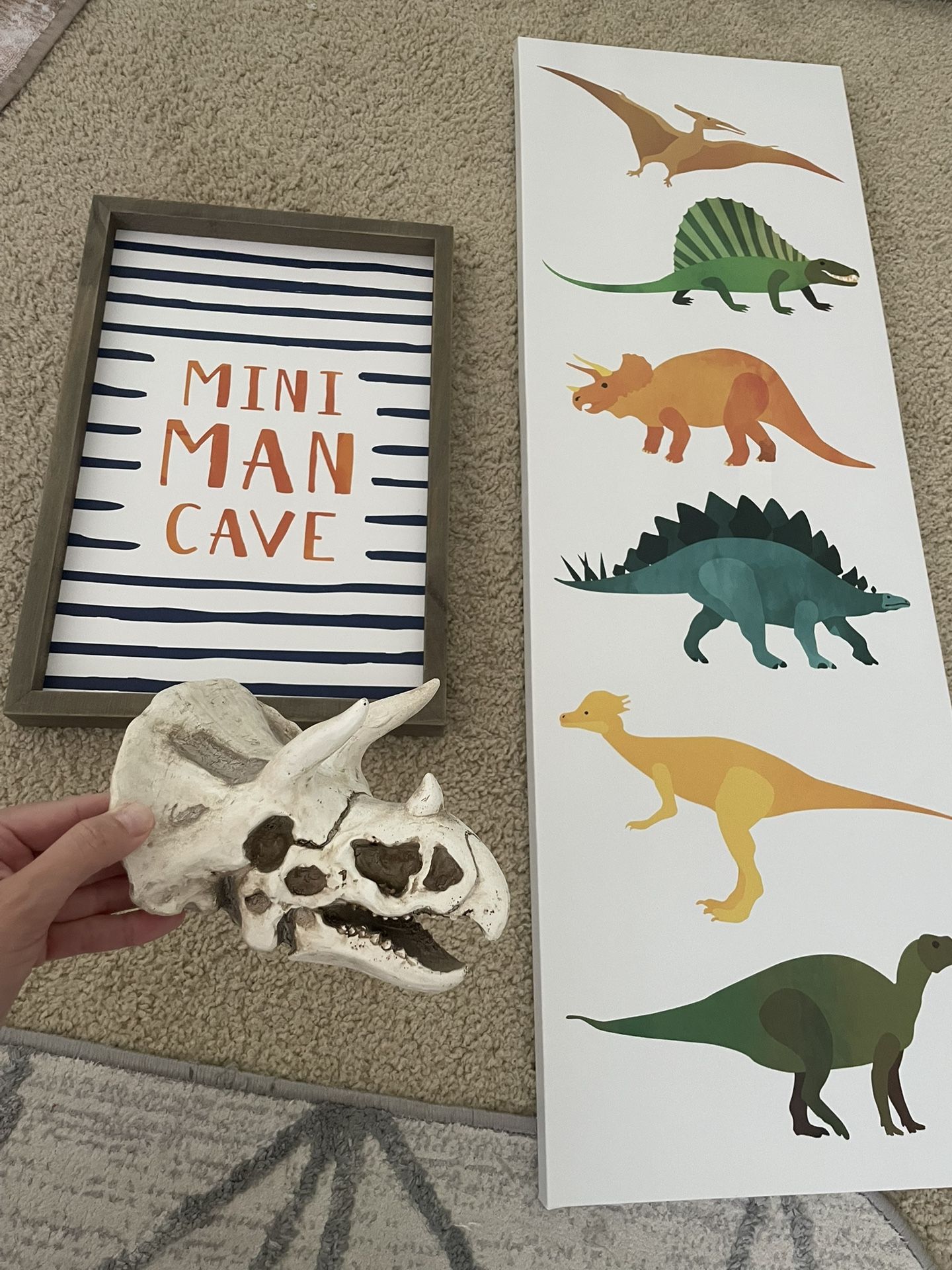 Boys Dinosaur Room Decor