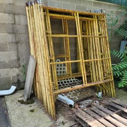 Scaffold.  20 Scaffold 