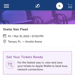 Greta Van Fleet Suite Tickets (4)