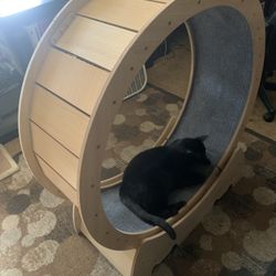 Cat / Dog Exercise Wheel