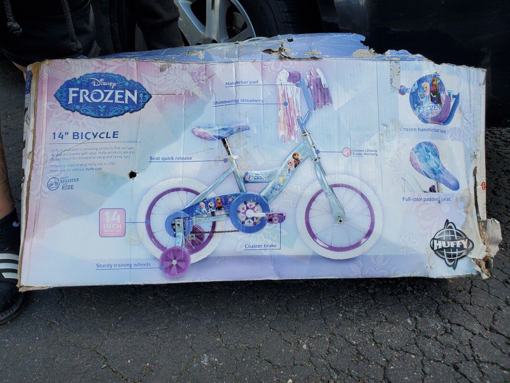 Frozen Bicycle