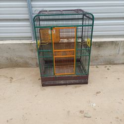 Bird Cage | Jaula De Pájaros 