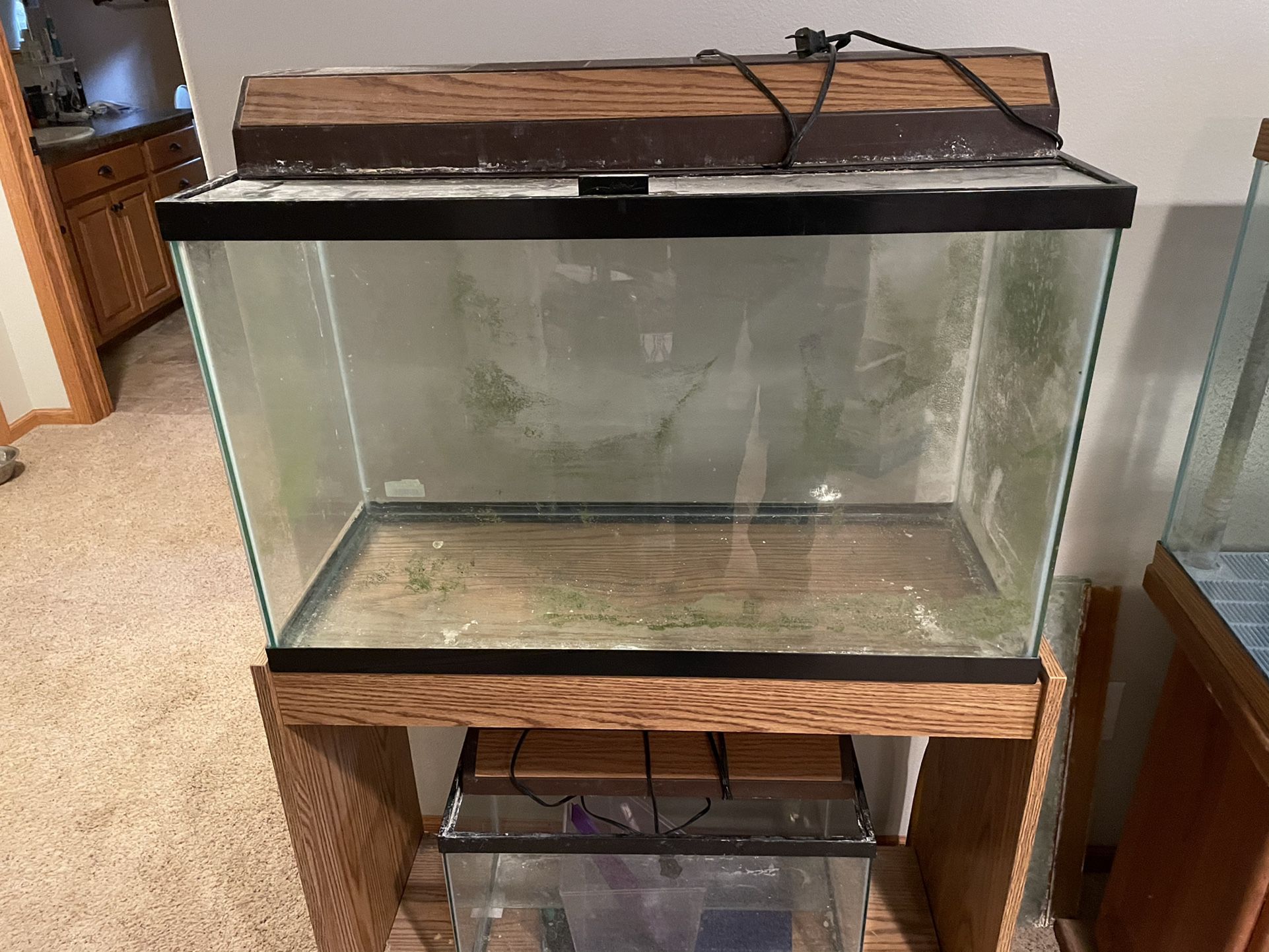 30 Gallon Aquarium  With Stand Light And Top