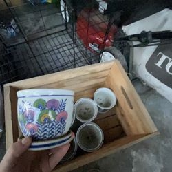 Flower Pots 