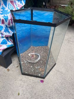 20 gallon aquarium
