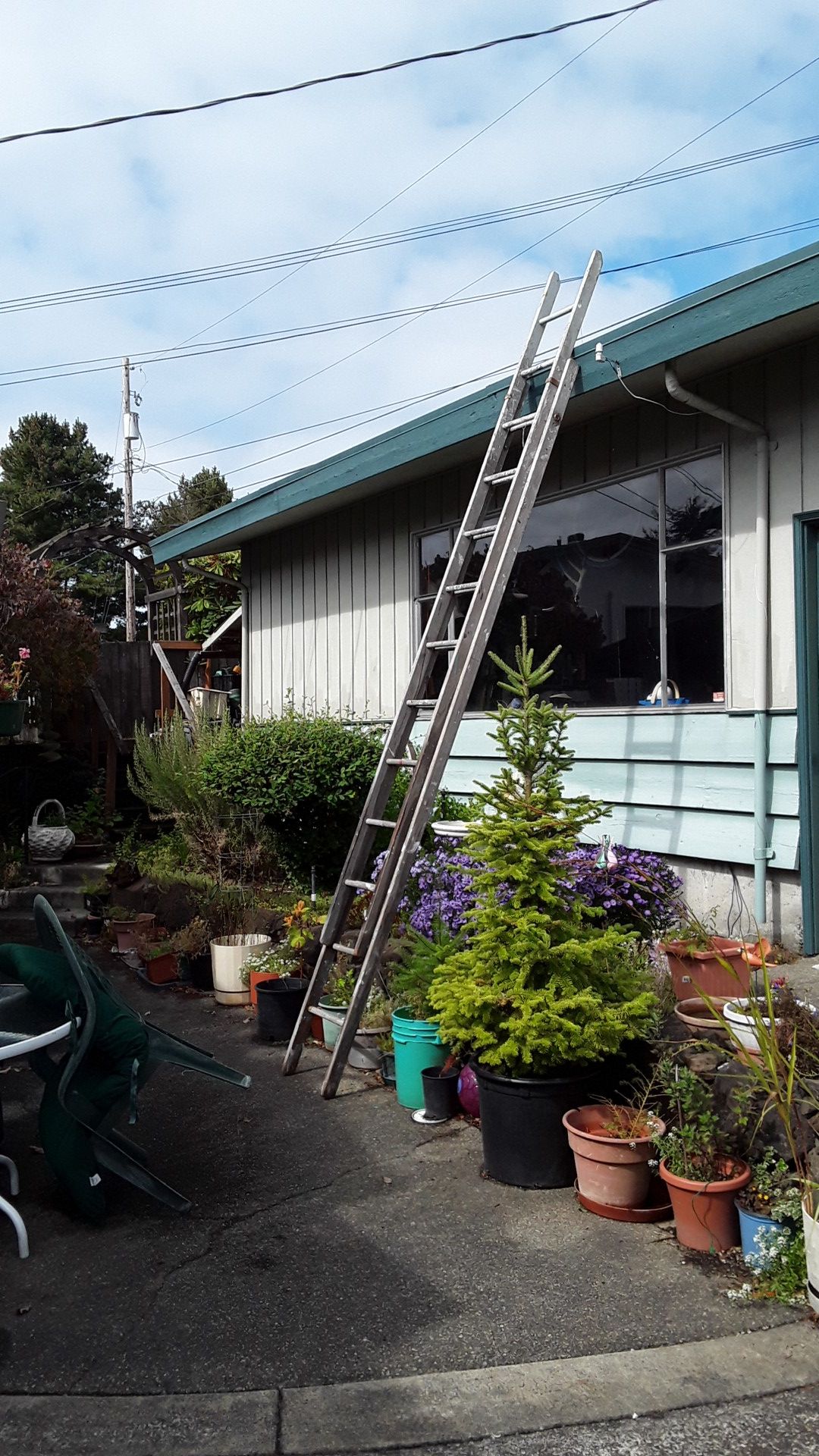 24 foot wooden extension ladder