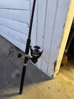 Penn rod and reel combo