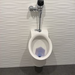 Stand Up Toilet 