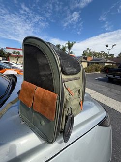Pet Carrier Backpack with Mesh Ventilation