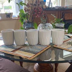 5 White Ceramic Planter Pots