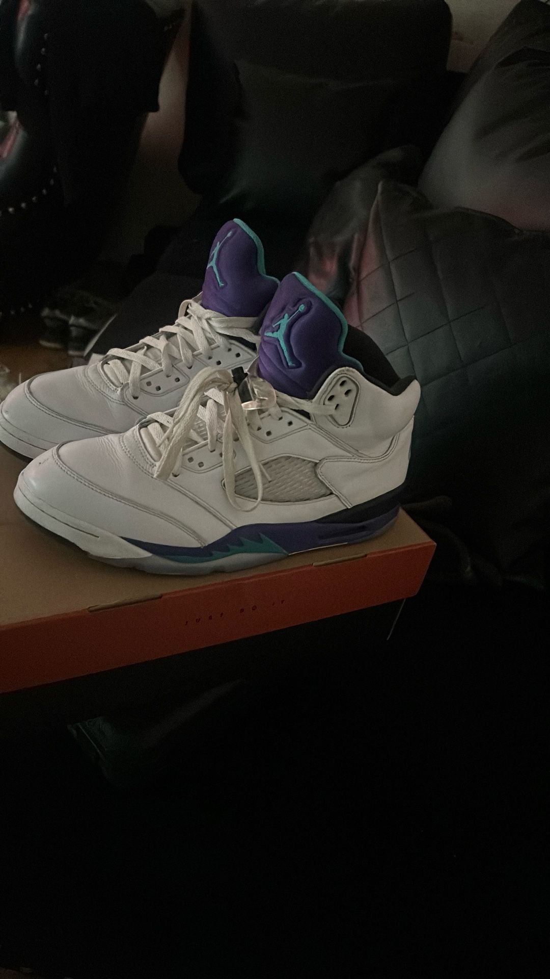 Jordan Grape 5s