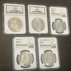 Morgan Silver Dollar Lot Of 5 NGC Graded Coins