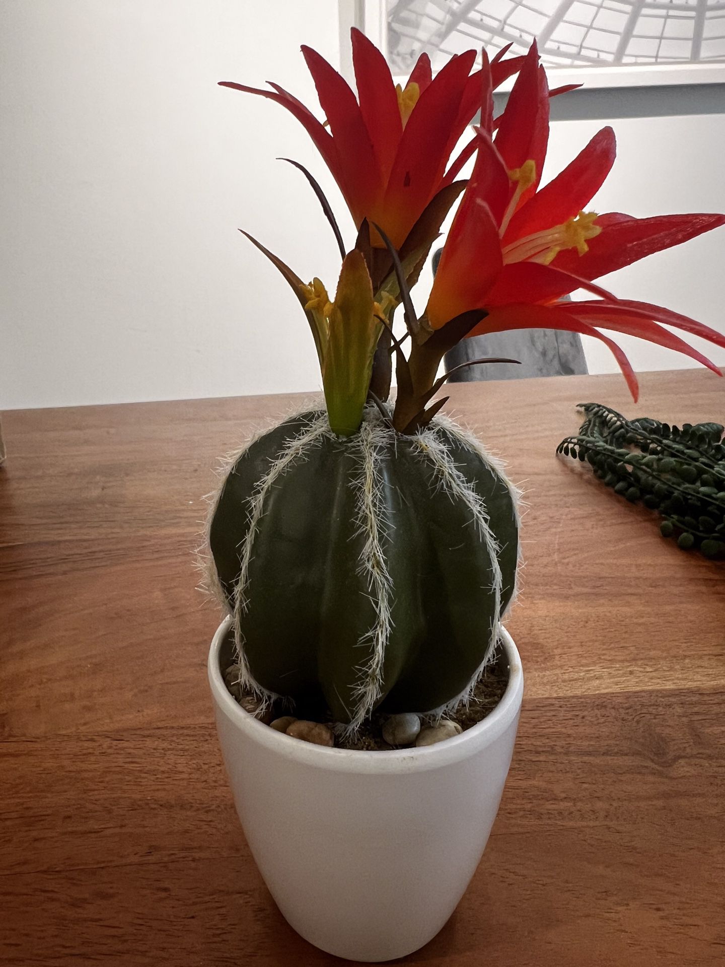 Fake Cactus Plant - Decor