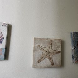 Seashell/Beach/Sea/Nautical Decor