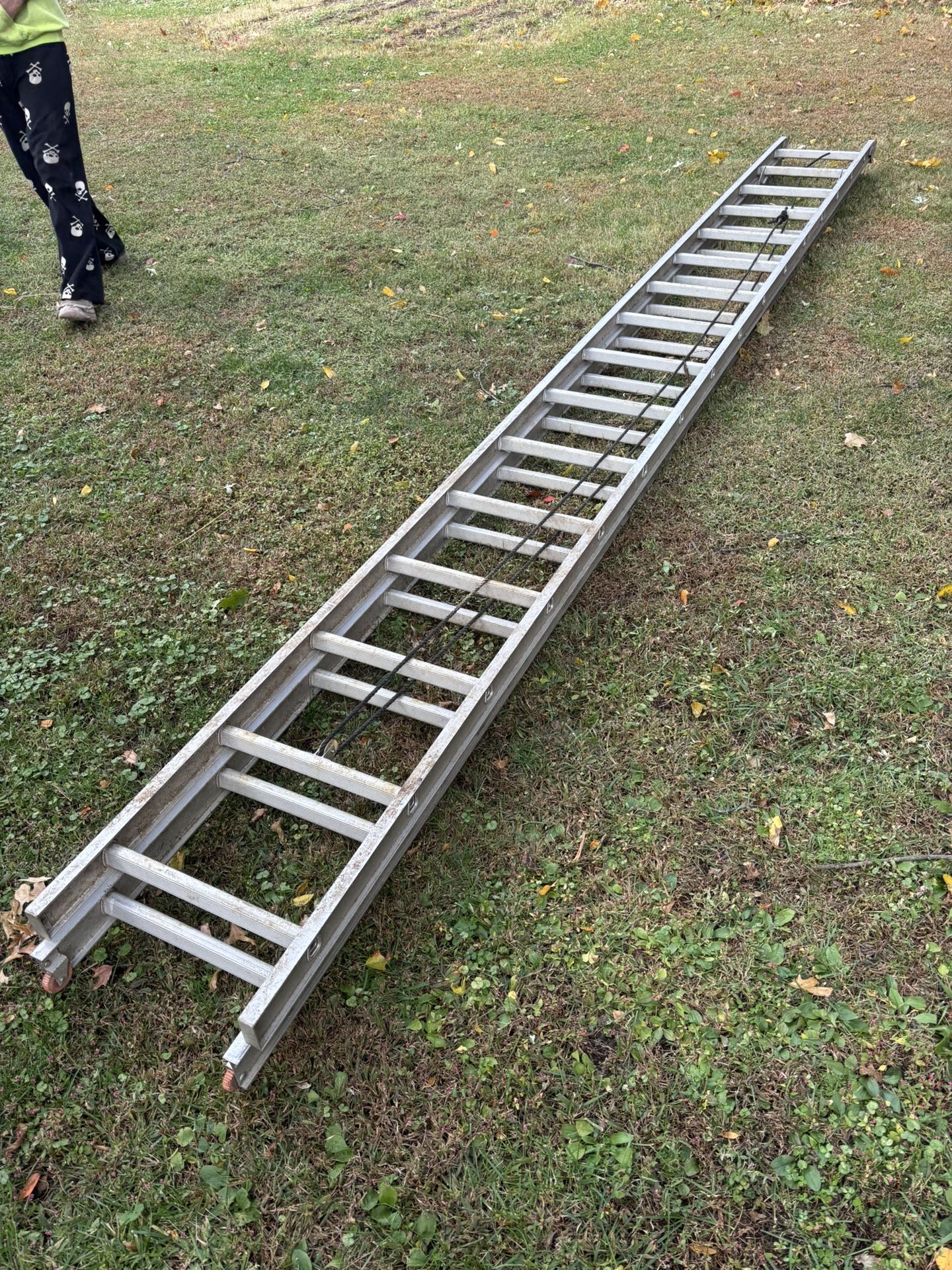 Ladder Aluminum 32 Feet 