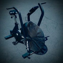 Rogue Fitness Echo Air Assault Bike w/ Accessories 
