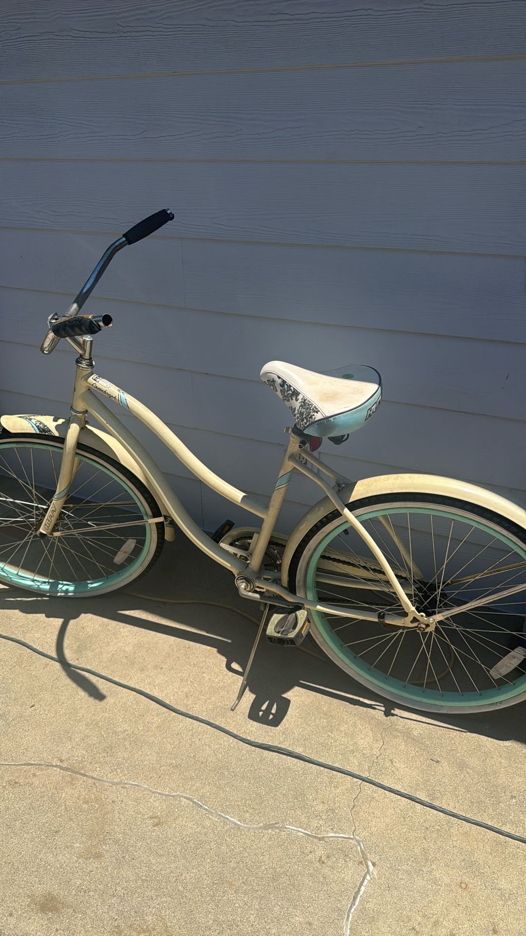 Beach Cruiser