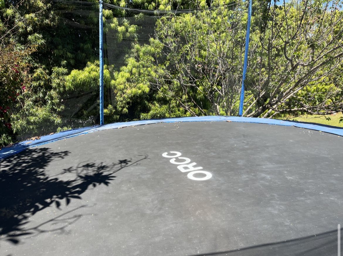 Trampoline, Leather Tufted Couch, Twin Loft Bed, Twin Mattresses, Oak