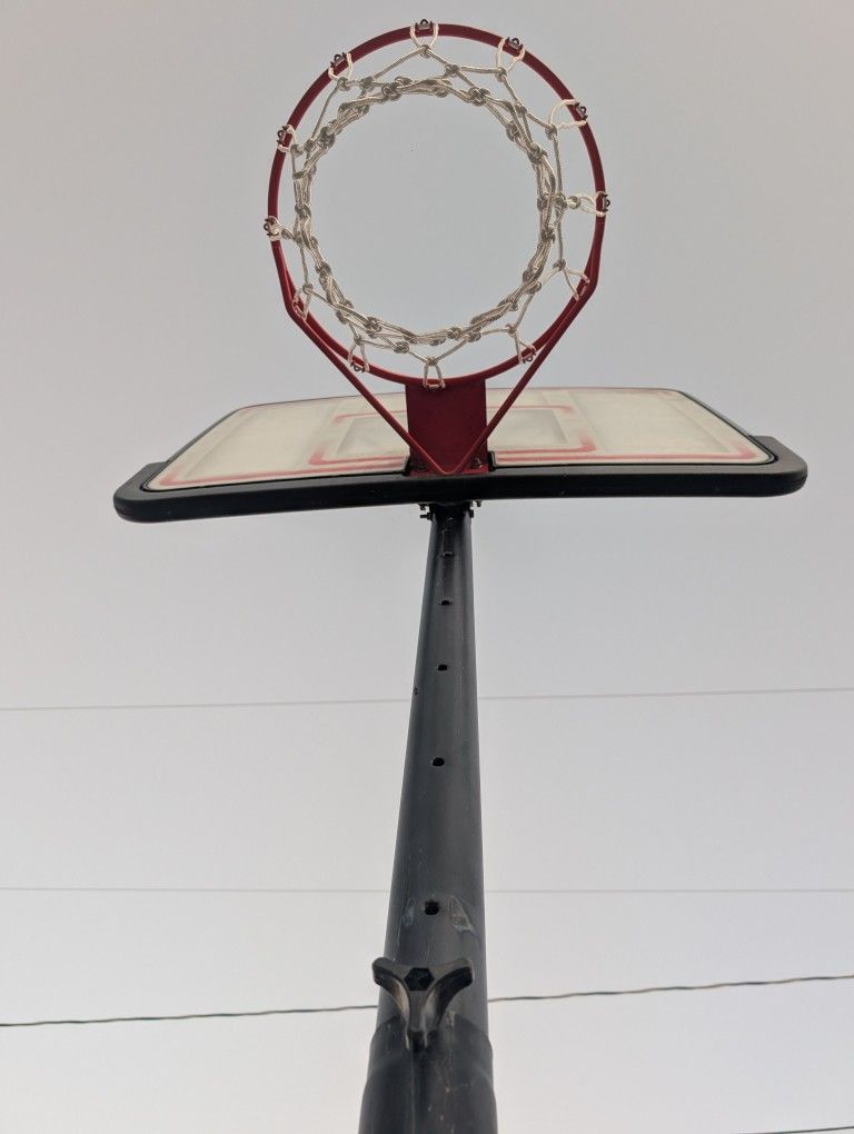 Lifetime Basketball Court