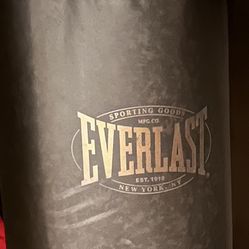 Everlast 100 lb Nevatear / Polycanvas Heavy Bag