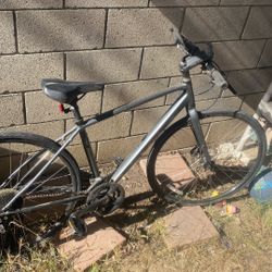 Trek Bike