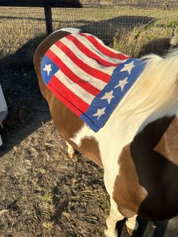 western saddle pads