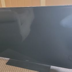 flat-screen Samsung 45" with remote 