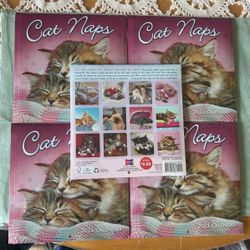 2024 Cat Naps Calendar