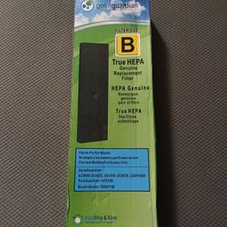 GermGuardian Filter Size B HEPA.