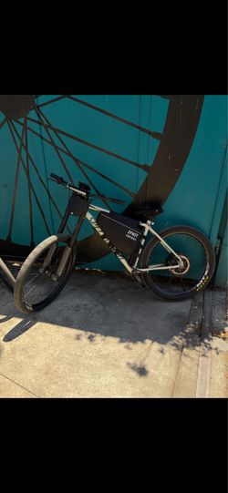 E-bike conversion kit (2fastebikes)