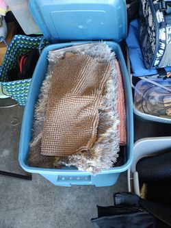 I have bins with carpets 5.00 each
