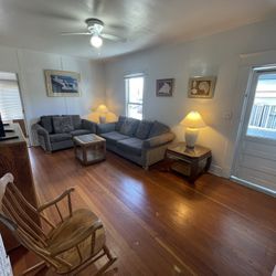 Sleeper Sofa Couch And Love Seat- Leopard Print