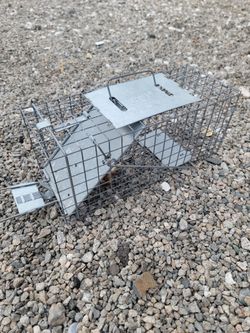 Small Live Trap