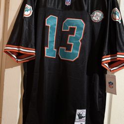 Dolphins Size L XL And 3X