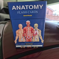 Flash Card Anatomy
