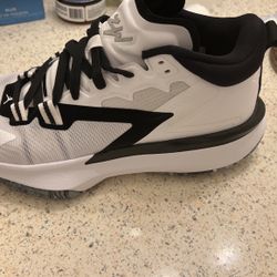 Zion 1s 🔥
