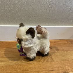 American Girl Posable Kitten 