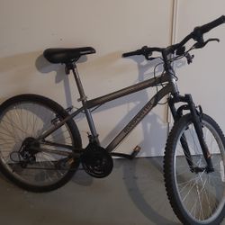 Roadmaster Mountain Bike