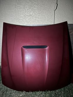 1999 Mustang GT Hood