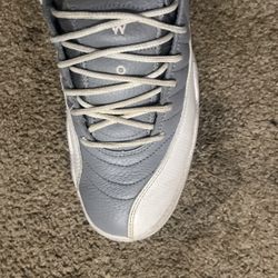 Jordan 12 (cool Greys)