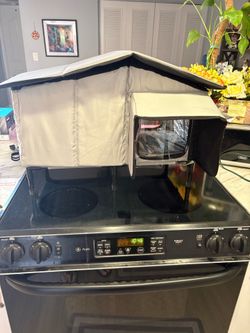 New outdoor heated/non-heated cat house(