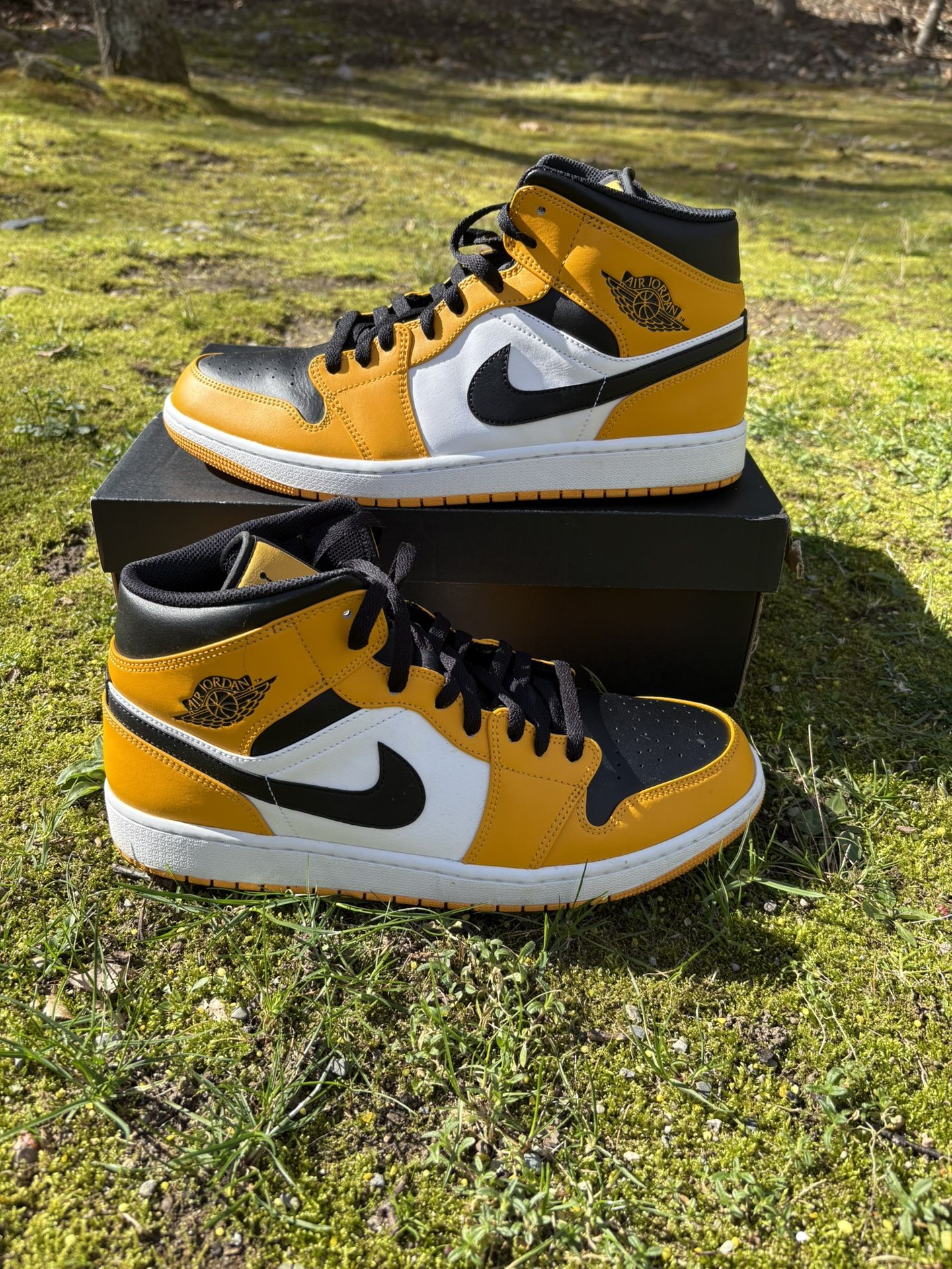 Jordan 1