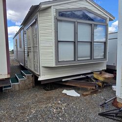 1989 Skyline Dream Park Model