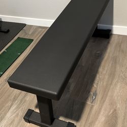 Rogue Fitness Workout Bench