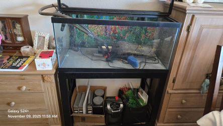 55 Gallon Aquarium 