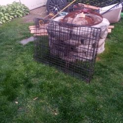 Dog Cage