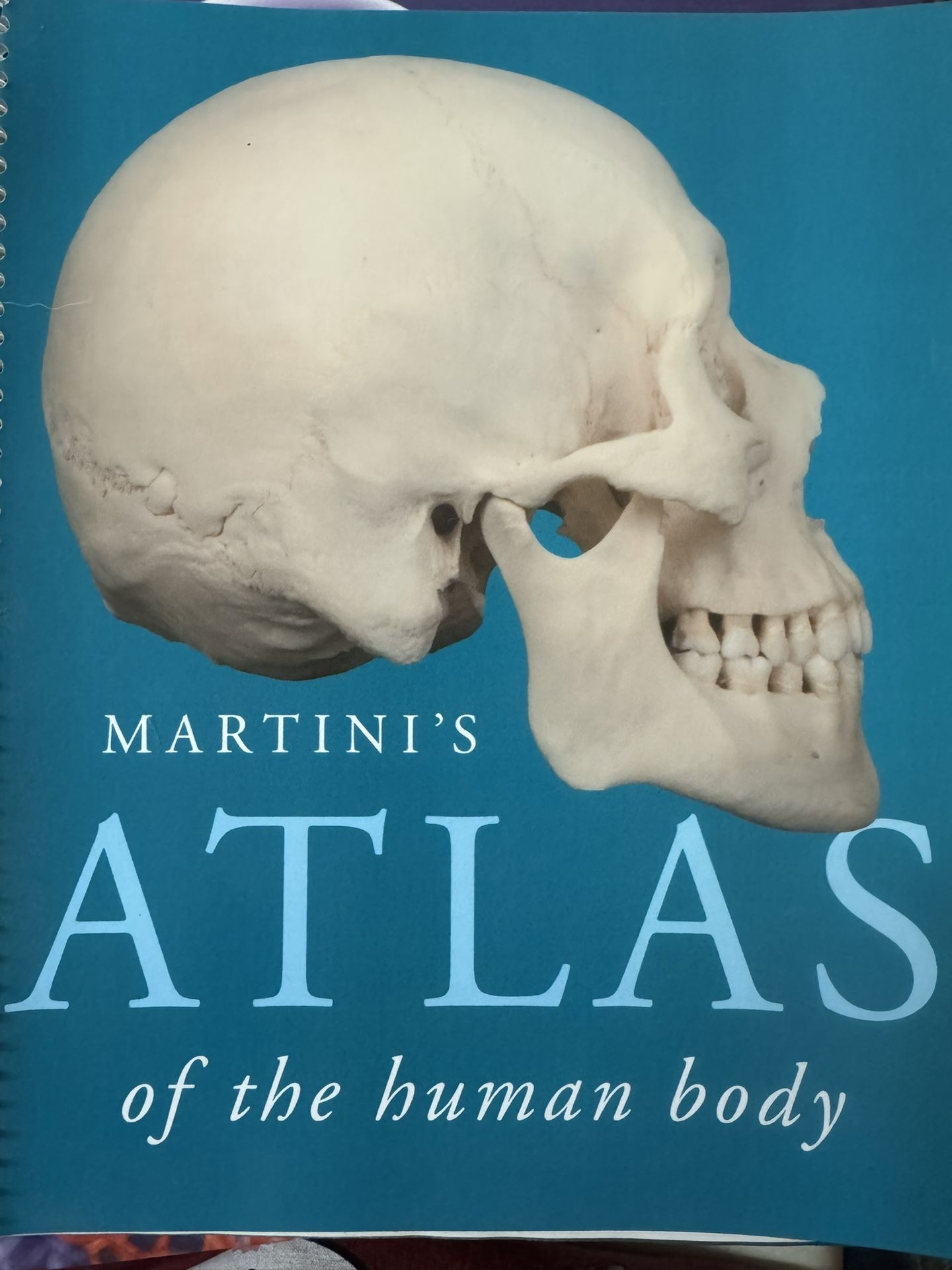Martinis Atlas Of The Human Body